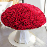 Velvet Bloom
